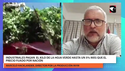 Industriales pagan el kilo de la hoja verde hasta un 5% más que el precio fijado por nación