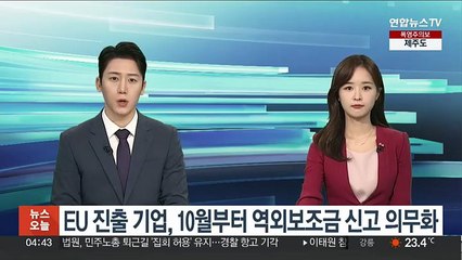 EU 진출 기업, 10월부터 역외보조금 신고 의무화