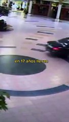 La pantera rosa roba más de 350 millones de Euros