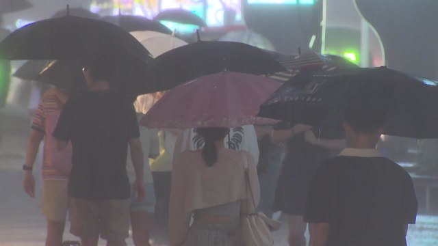 변덕스러운 여름 날씨...500년 '장마' 용어 사라질까 [앵커리포트] / YTN