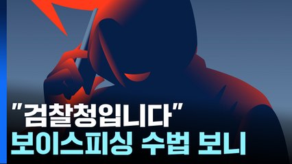 "검찰청입니다"...기관 사칭 보이스피싱 증가세 / YTN