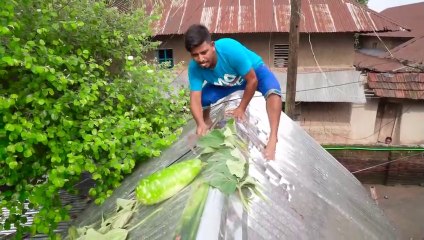 Very Funny Amazing Top Comedy Video 2021--comedy video 2021 Episode 116 By Busy Fun Ltd(720P_60FPS)