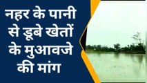 गोरखपुर: नहर टूटने से पानी में डूबे खेतों को देख किसानों में आक्रोश, मुआवजे की मांग