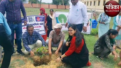 छायादार पौधे रोप सजाया सरस्वती का आंगन, छाएगी हरियाली