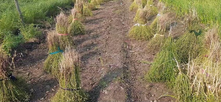 आईजी ने किया प्रतापगढ़ दौरा, जिले की स्थिति की ली जानकारी