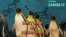 Penguins: Surviving and Thriving in the Ever-Changing Marine World