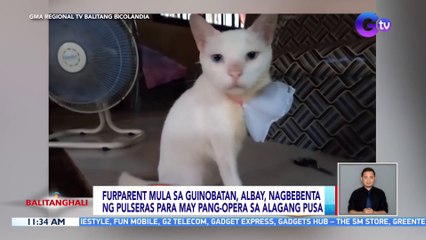 Furparent mula sa Guinobatan, Albay, nagbebenta ng pulseras para may pang-opera sa alagang pusa | BT