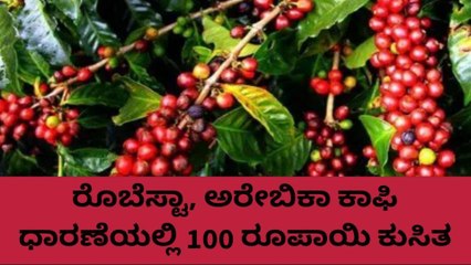 ಕೊಡಗು: ಮಾರುಕಟ್ಟೆಯಲ್ಲಿ ಕಾಫಿ ಧಾರಣೆ ಕುಸಿತ