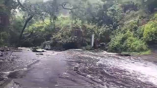 கடும் வெள்ளப்பெருக்கு; கோவை குற்றாலம் தற்காலிக மூடல் - வனத்துறை அறிவிப்பு