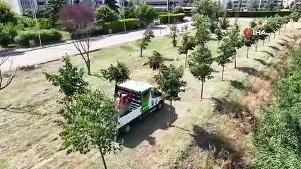 Bursa'da sinekle mücadele hız kesmiyor