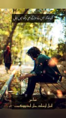 Shayari status | ek wo keh jis ne mur k dekha hi nai aneel.