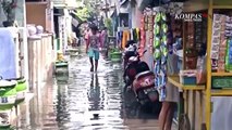 Banjir Rob Rendam Ratusan Rumah Warga di Kalianak Timur Surabaya Jawa Timur