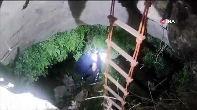 Le bébé aigle tombé dans le puits a été secouru par les pompiers