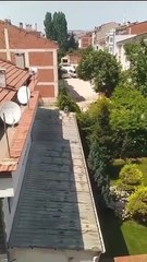 Gündüz vakti eve giren hırsızın rahatlığı dikkat çekti