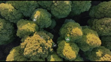 X edizione Ecoforum: Economia circolare lavori in corso