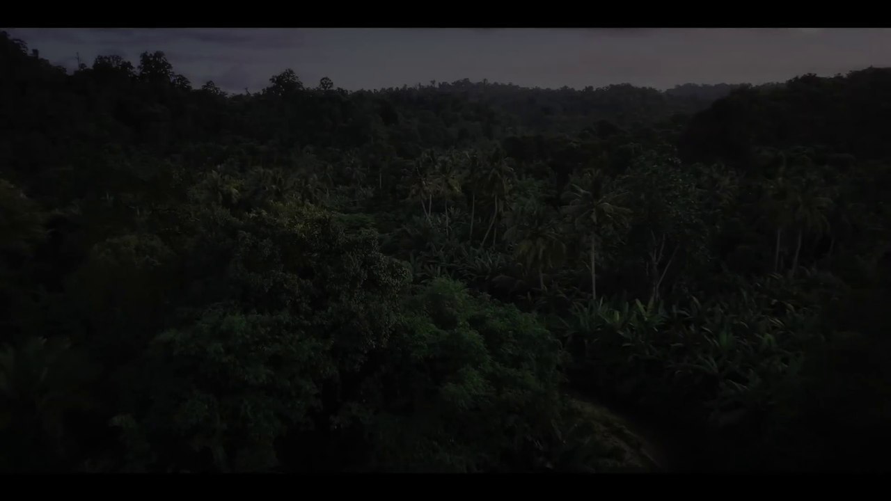ISLAND TRIBE Hidden Indonesia