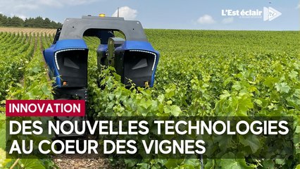 Des innovations qui se mettent au service des viticulteurs
