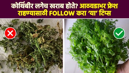 कोथिंबीर आठवडाभर फ्रेश ठेवण्यासाठी टिप्स | How To Keep Coriander Fresh For A Week | Kitchen Tips| RI
