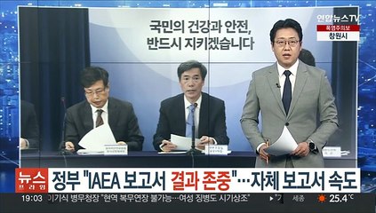 정부 "IAEA 보고서 결과 존중"…자체보고서 발표에 속도