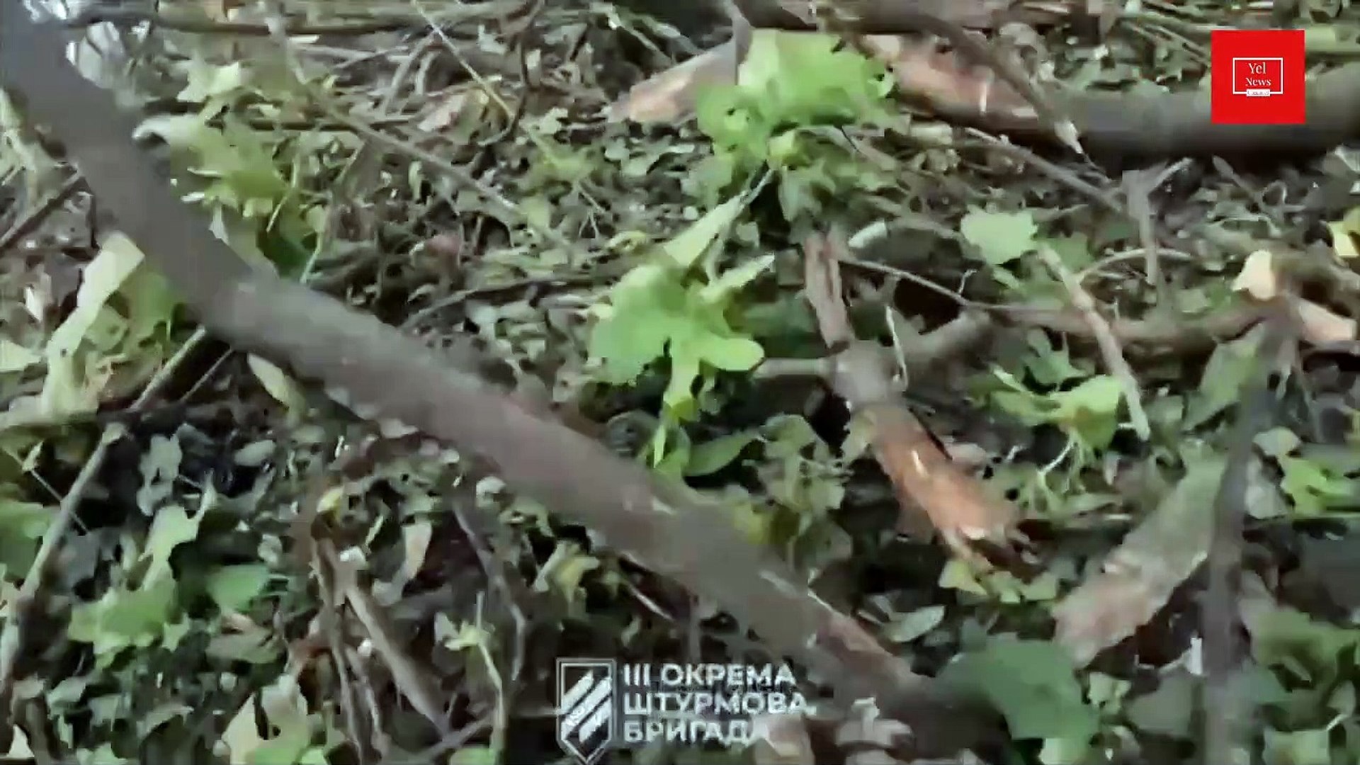 Russia Ukraine war | Russia Ukraine war update