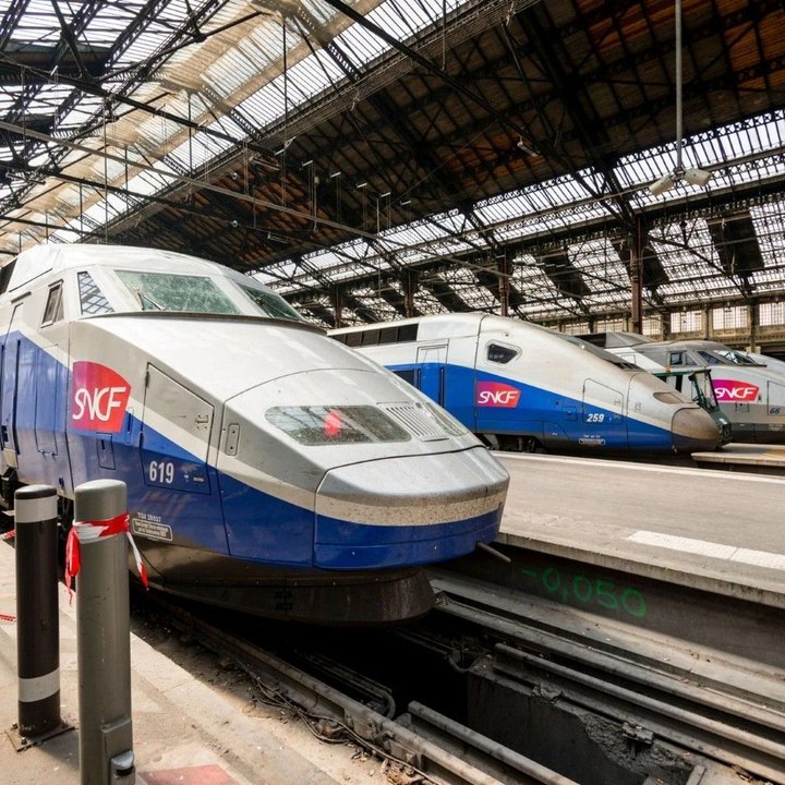 SNCF : la compagnie ferroviaire française condamnée pour avoir écrasé le chat Neko