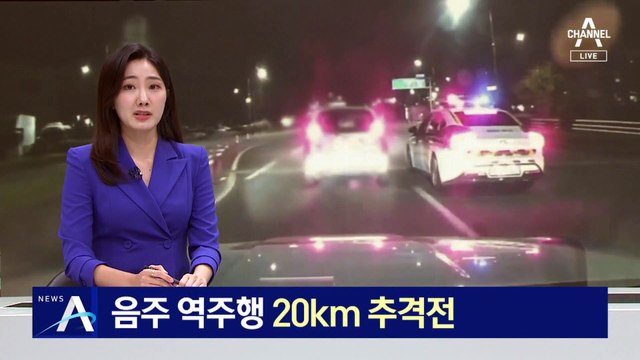 음주 역주행…30분 동안 20km 도심 추격전