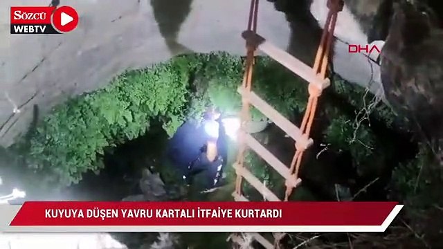 Kuyuya düşen yavru kartalı itfaiye kurtardı