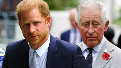 Will Prince Charles Ever Forgive Prince Harry? ‘He’s Afraid That His Son…'