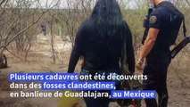 Mexique: des mères de disparus découvrent des fosses clandestines