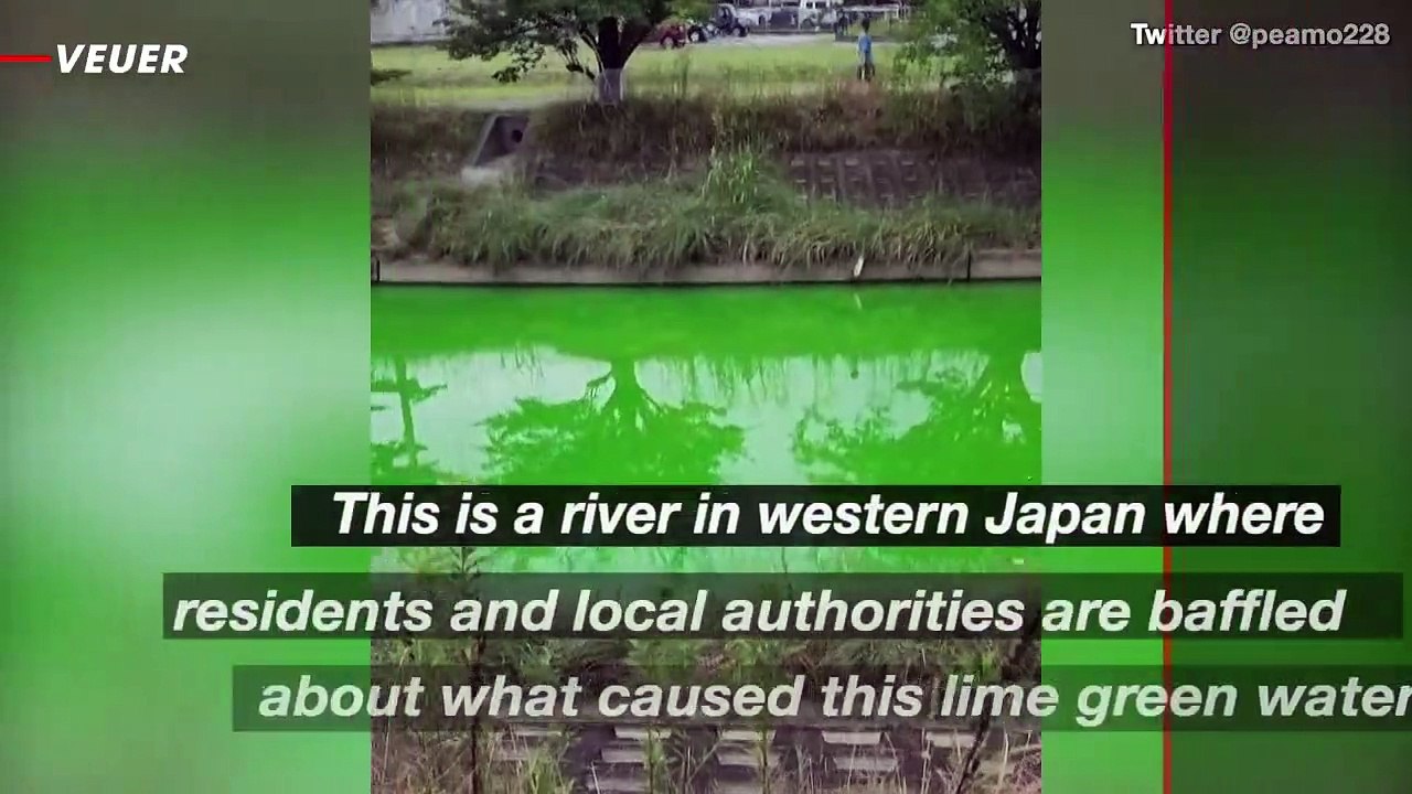 Locals Concerned After Japanese River Suddenly Turns Laser Green