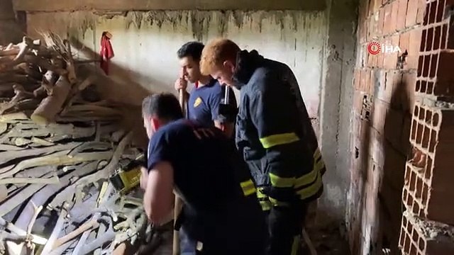 Yılan ihbarı itfaiye ekiplerini harekete geçirdi