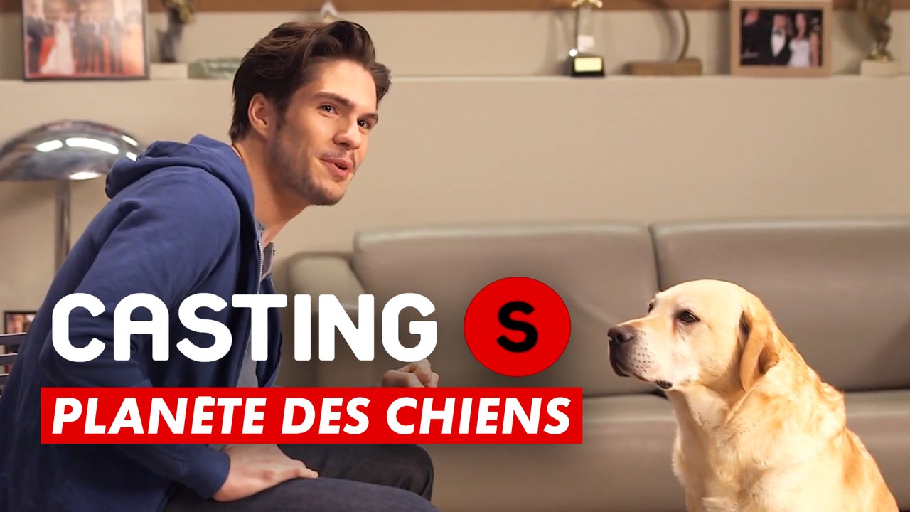 CASTING(S) : Planète des chiens