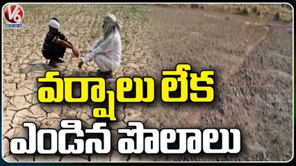 Farmers Problems With Lack Of Rains Due To Monsoon Delay _ V6 News (1)