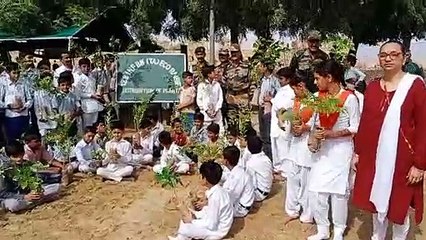 Watch Video: हरियाऴो राजस्थान अभियान के तहत सघन वृक्षारोपण किया