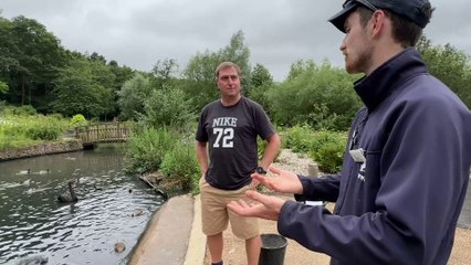 Reporter Neil tries a day in the life of a keeper at a wetlands park