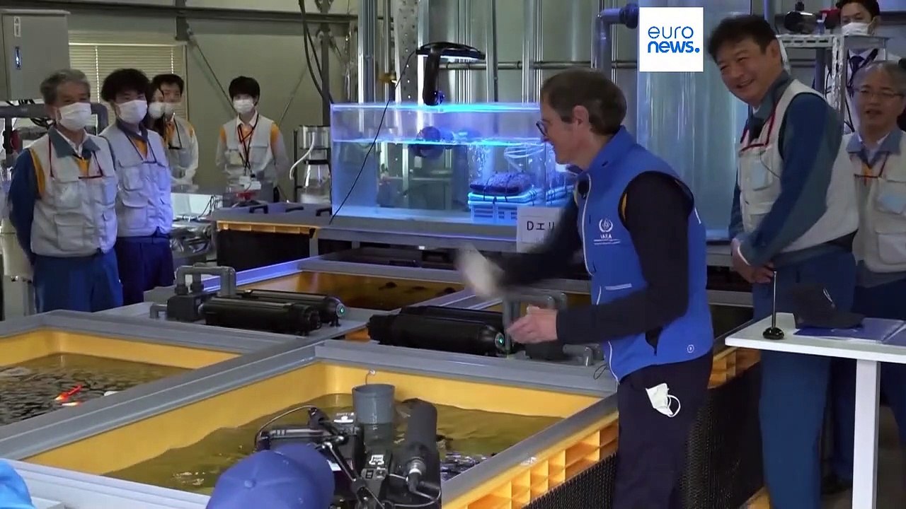 Kontaminiertes Fukushima-Abwasser: IAEO will Entsorgung ins Meer erlauben