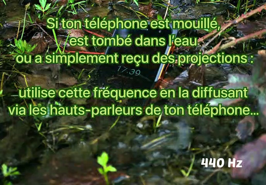 SOLUTION - TÉLÉPHONE TOMBÉ DANS L’EAU