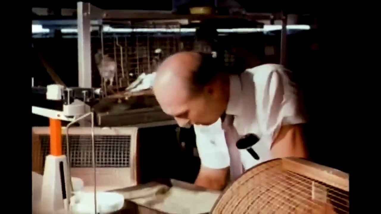 RATTLERS_ SNAKE ATTACK  Full Exclusive Horror Movie Premiere  English HD 2023