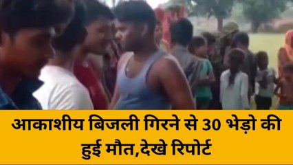 भदोही: आकाशीय बिजली का कहर, तीस भेड़ो की हुई दर्दनाक मौत