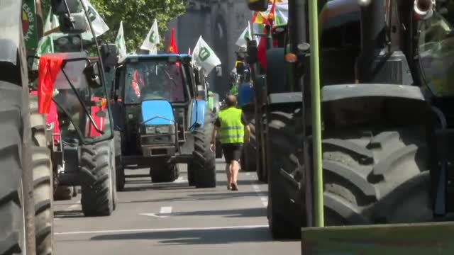 Los agricultores exigen en Madrid ayudas directas para paliar los efectos de la sequía