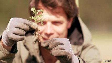 Popularizing plants that make their own fertilizer