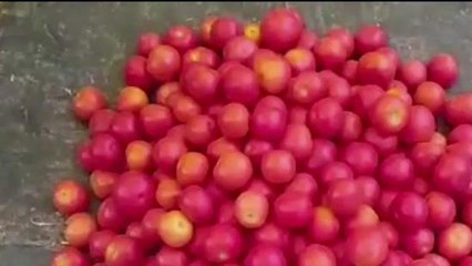 अयोध्या: आसमान छू रही सब्जियों की कीमत....बेहाल हो रही जनता, देखें खास रिपोर्ट