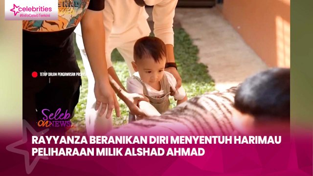 Rayyanza Beranikan Diri Menyentuh Harimau Peliharaan Milik Alshad Ahmad