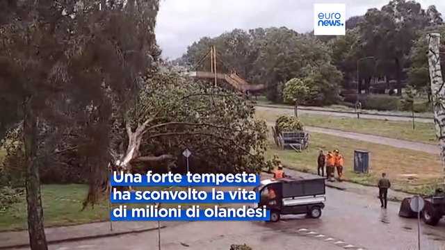 Amsterdam, Poly manda i trasporti in tilt: 400 voli cancellati a Schiphol