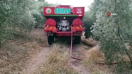 Osmaniye'de 1 dönüm kızıl çam ormanı yandı