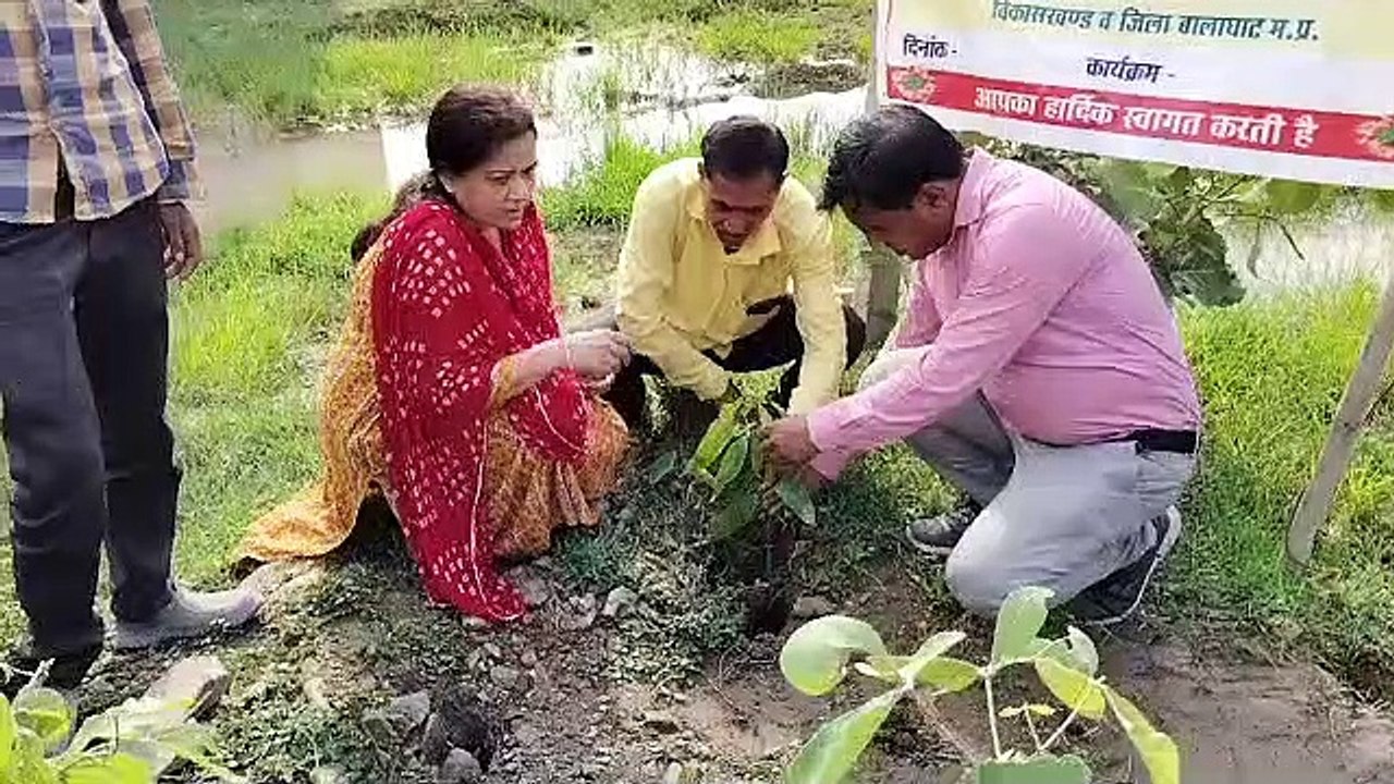 स्वयं सेवकों ने लगाए फलदार और छायादार पौधे