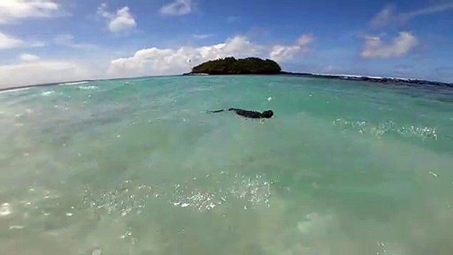 El Niño: a maior ameaça em décadas para espécies vulneráveis em Galápagos