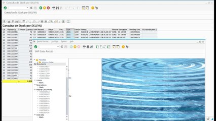 MM Change Storage Location on Pallet TAG