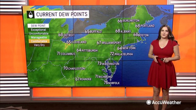 Hot, humid weather marks the first week of July in the Northeast