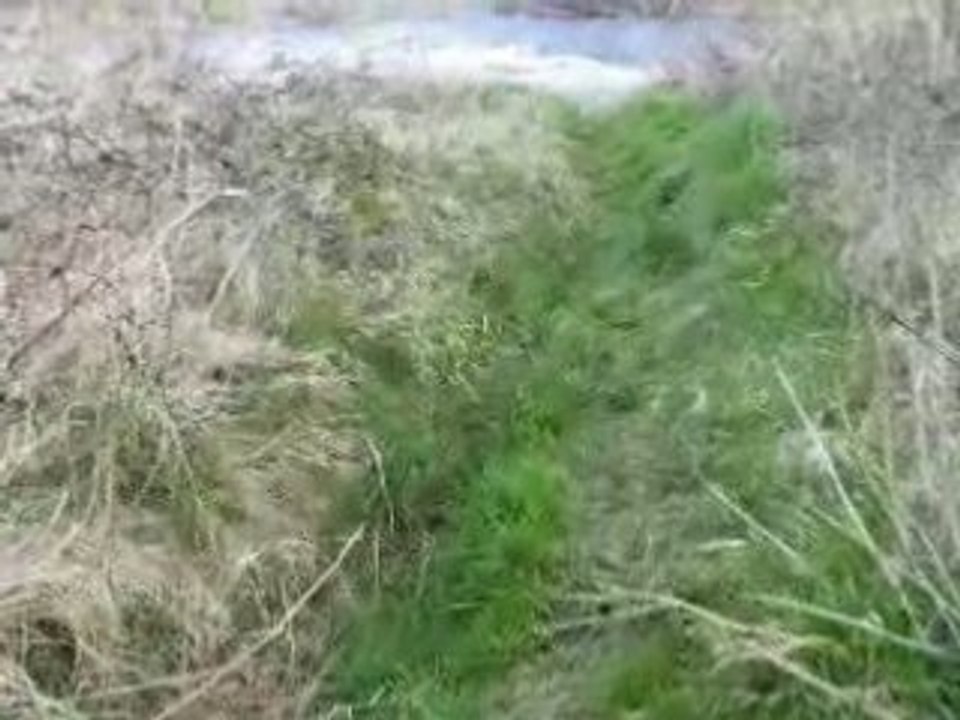 Source du Tambour